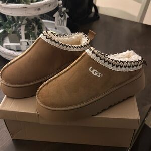 Brand new Uggs size 7